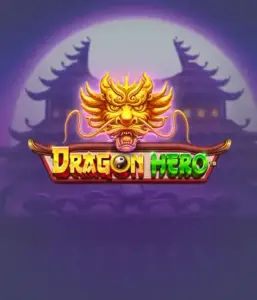 Enter a legendary quest with Dragon Hero Slot by Pragmatic Play, highlighting vivid graphics of powerful dragons and epic encounters. Discover a realm where fantasy meets adventure, with featuring treasures, mystical creatures, and enchanted weapons for a captivating slot experience.