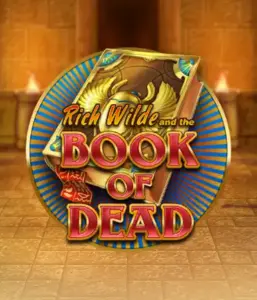 Embark on the thrilling world of Book of Dead Slot by Play'n GO, presenting vivid graphics of Rich Wilde’s adventurous journey through ancient Egyptian tombs and artifacts. Find lost riches with captivating mechanics like free spins, expanding icons, and a gamble option. Ideal for adventure seekers with a desire for thrilling discoveries.